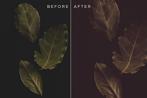 290 Matte Lightroom Presets Bundle