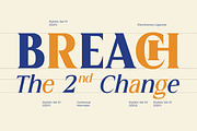 MN Managa Serif - Contemporary Serif, a Serif Font by Mantra Naga (Thumbnail 11 of 18)