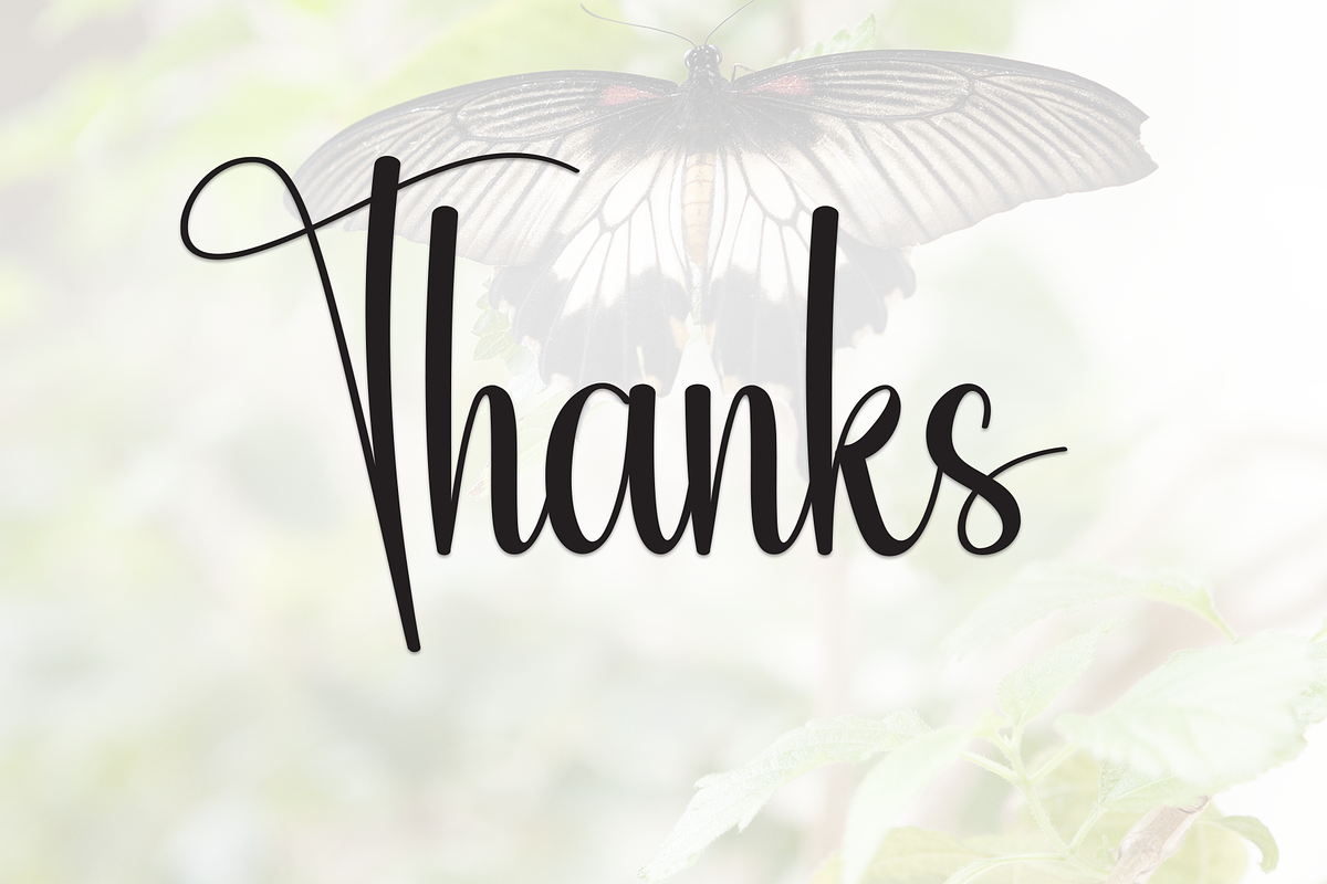 Butterfly | Script Font, a Handwritten Font by Scratchones (Photo 9 of 9)