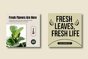 Natural Green Botanical Social Media, a Social Media Template by MightyDesign (Thumbnail 4 of 8)