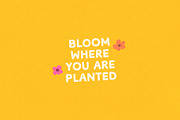 Organic Market Handmade Font, a Sans Serif Font by Kaya Fonts (Thumbnail 9 of 25)