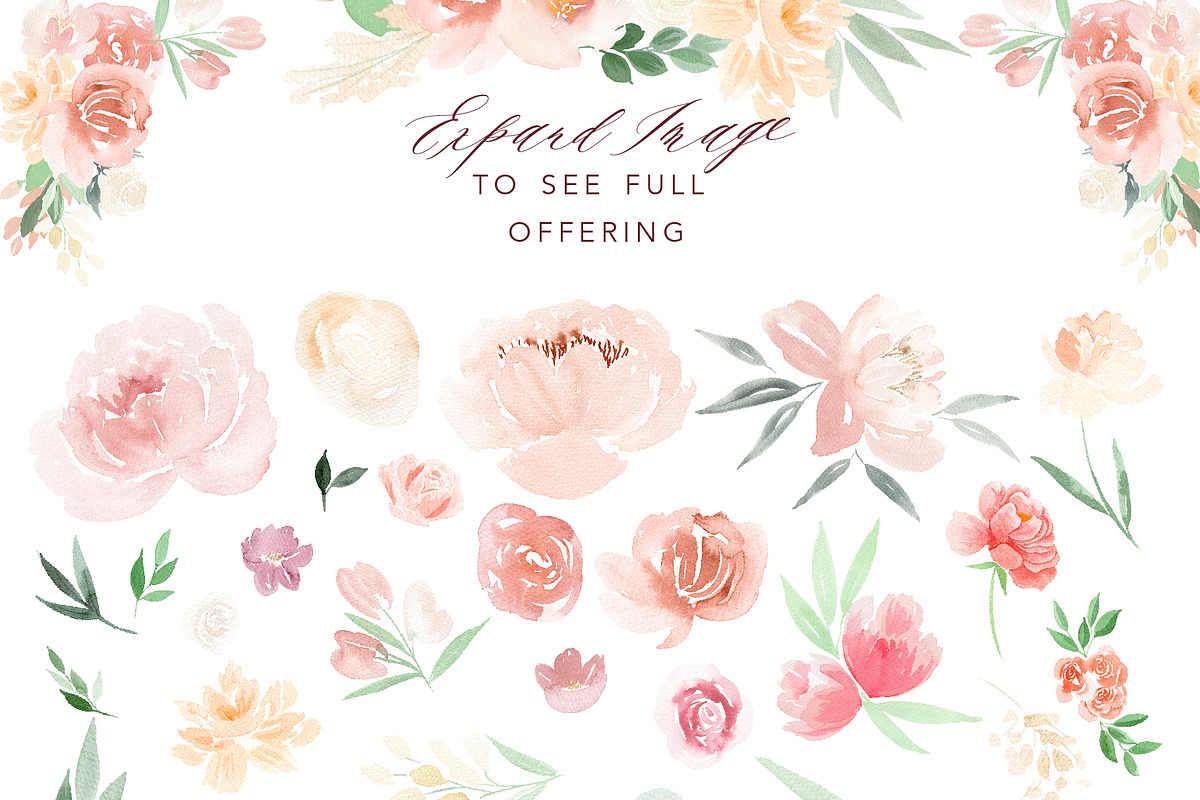 Soft Blush Floral Watercolor Set, an Illustration by One and Only Paper (Photo 3 of 7)
