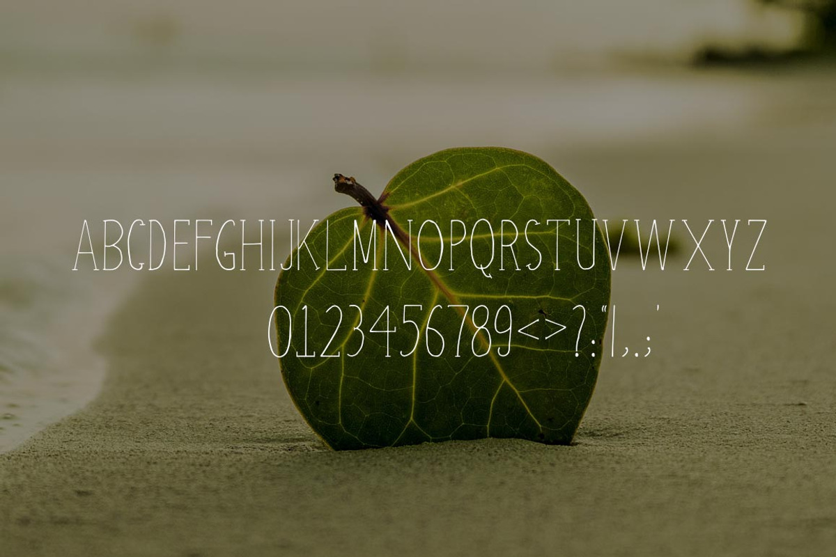 Atifa Serif Font preview 5