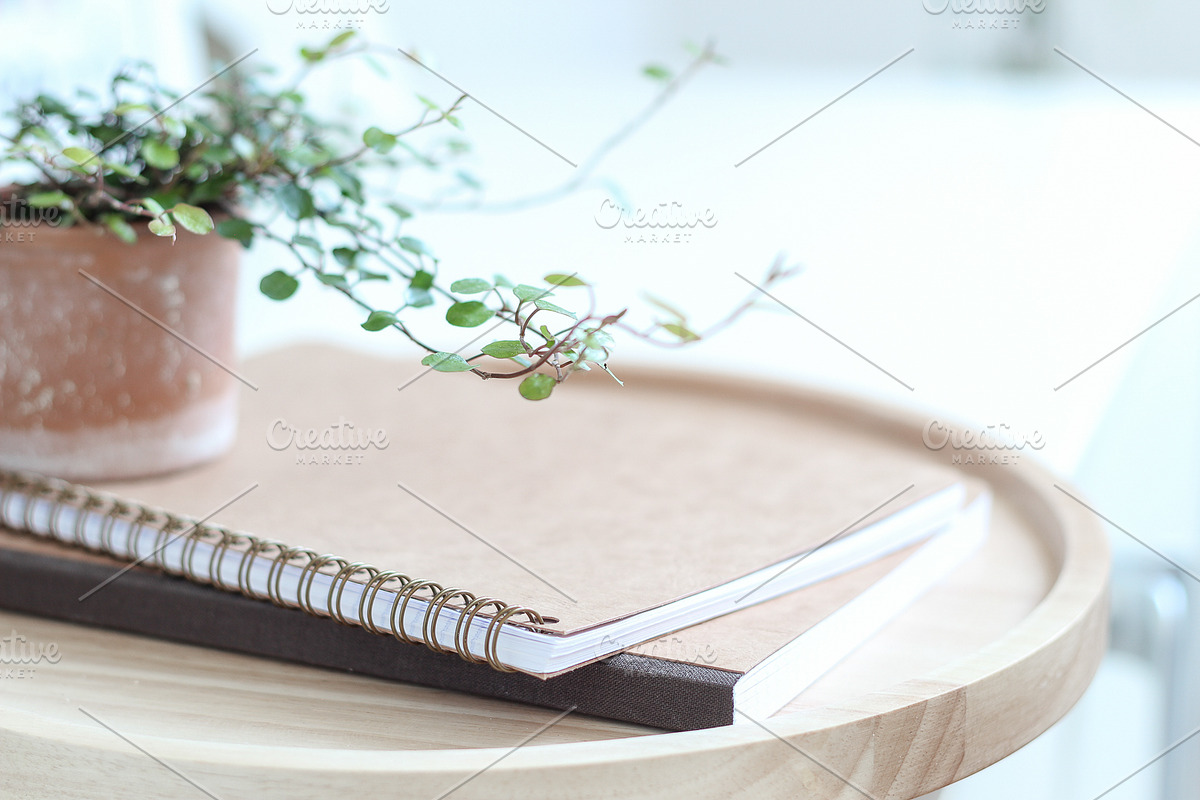 Neutral Collection | Styled Stock, a Business Photo by Chalking Up Stock (Photo 5 of 25)