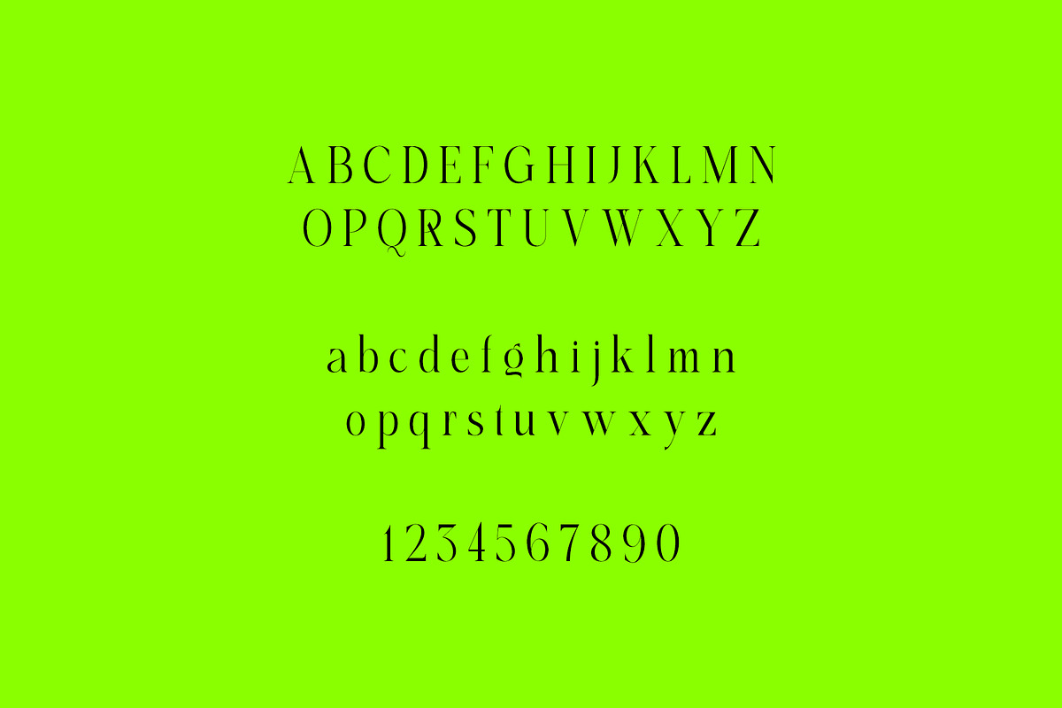 Replica - Elegant & Modern Serif, a Serif Font by subkulturetype (Photo 10 of 11)