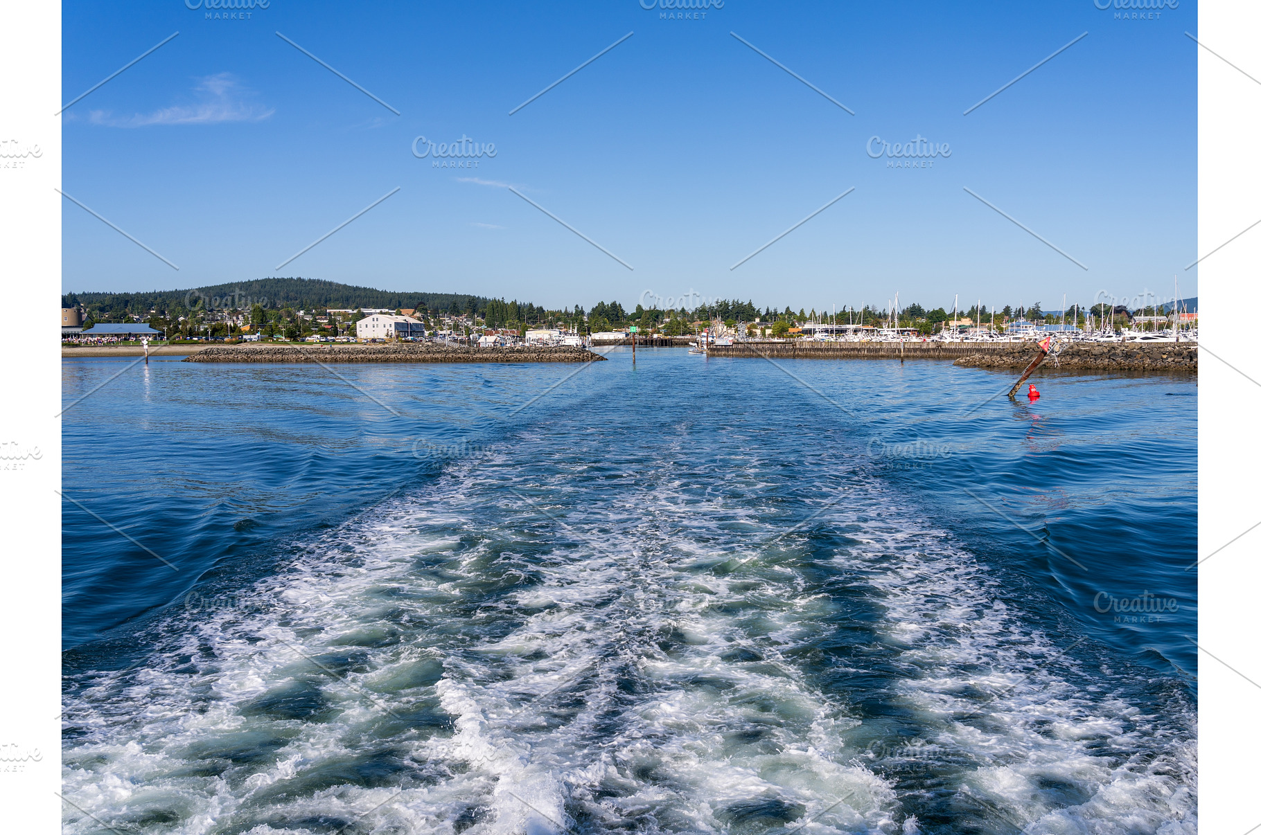 Whale watching tour departing from, a Nature Photo by Backyard Stock