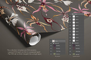 Orchid Herbarium Pattern Collection, a Pattern Graphic by SurfaceStories (Thumbnail 12 of 12)