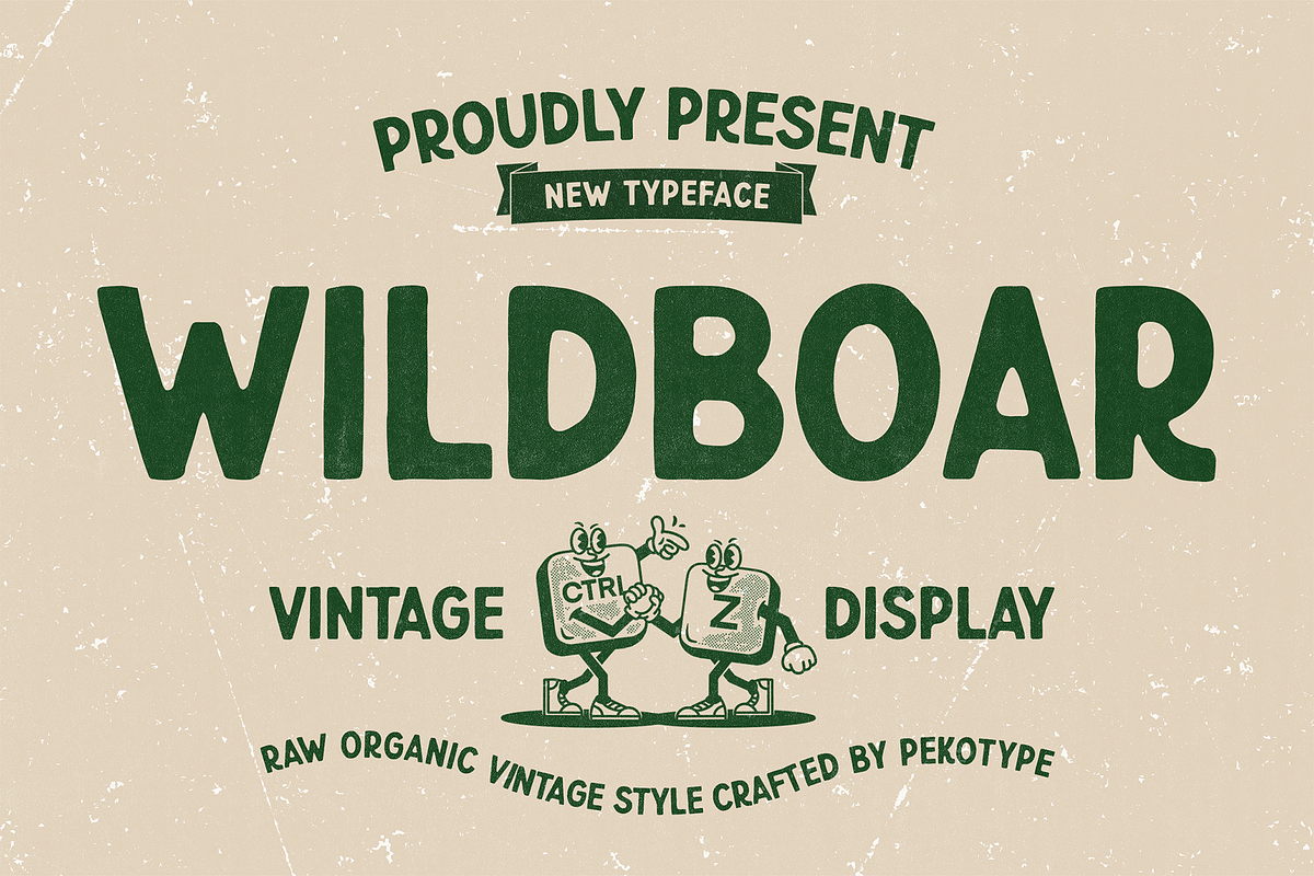 Wildboar - Vintage Display Font, a Sans Serif Font by Pekotype (Photo 1 of 15)