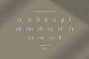 Gafien Elegant Modern Serif Font, a Serif Font by Graphicxell (Thumbnail 8 of 8)