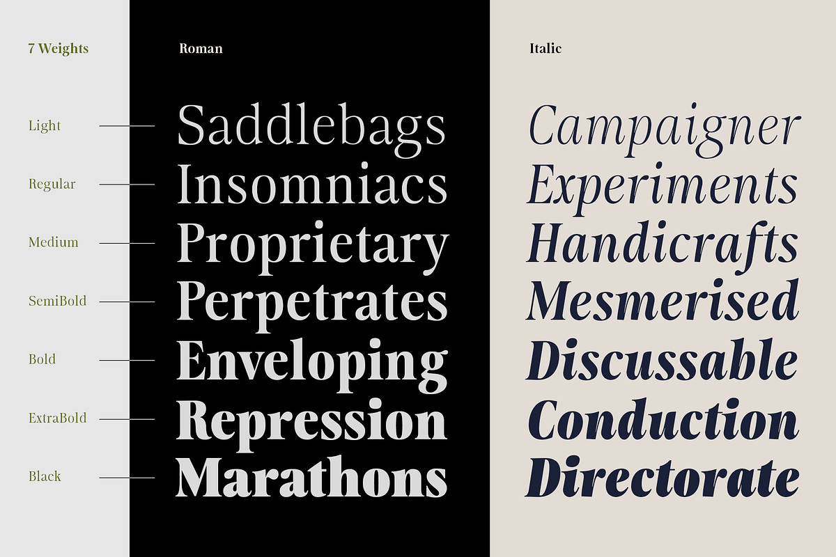 Moisette - 14 Fonts, a Serif Font by Nasir Udin (Photo 3 of 14)