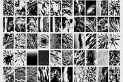 TRUGRAINS Brutalist Vector Textures, a Texture Graphic by Thundr Co. (Thumbnail 3 of 6)