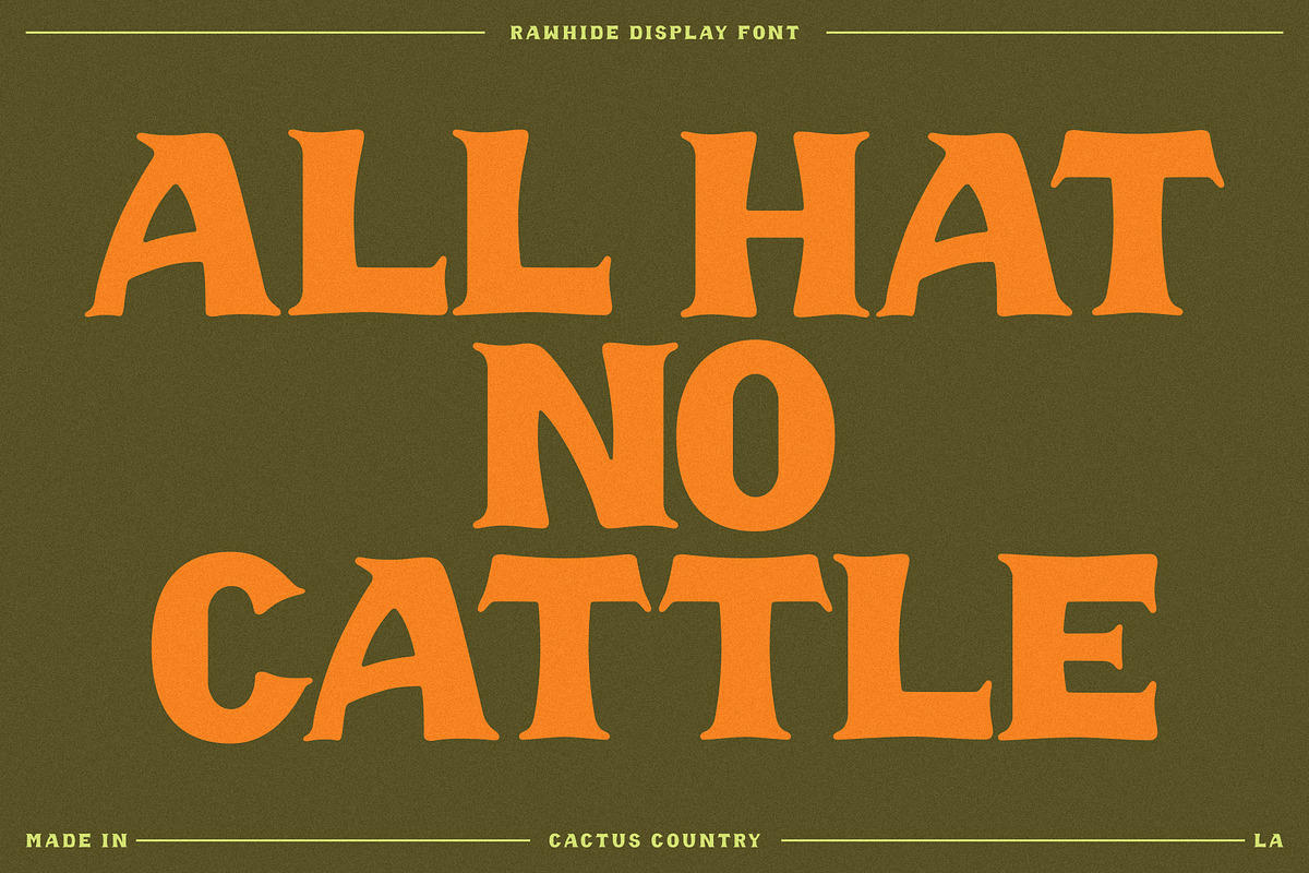 Rawhide Display Font, a Serif Font by Cactus Country (Photo 4 of 5)