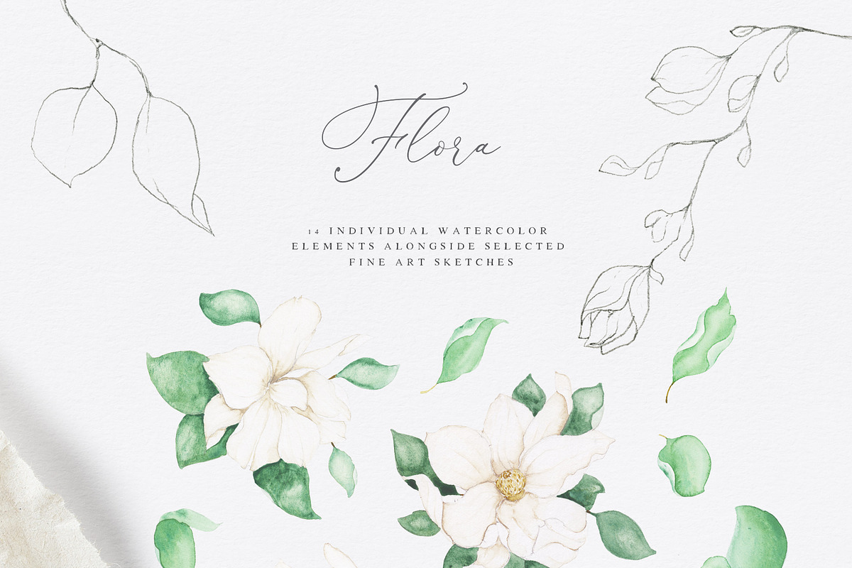 Floral Line Art & Watercolor Set, an Illustration by Laras Wonderland (Photo 2 of 9)