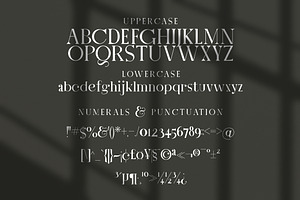 Letter Stylish Serif