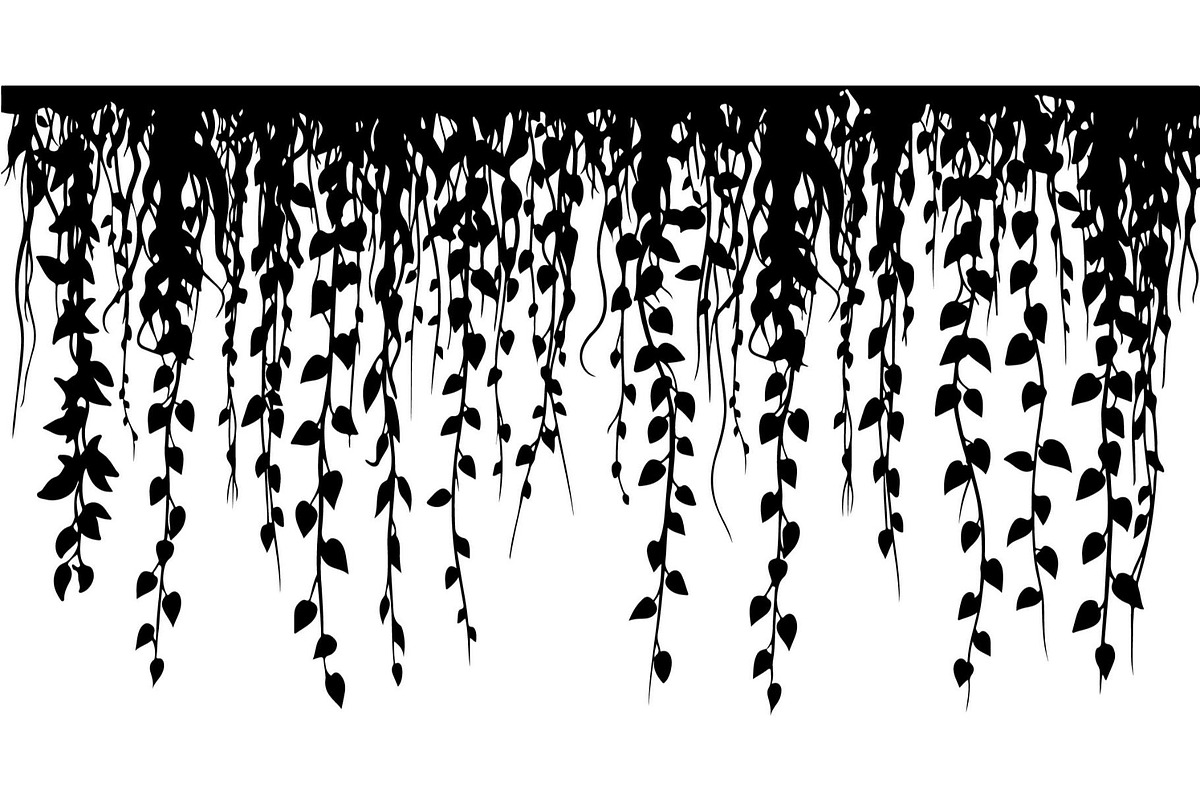Hanging Vines Silhouette, an Object Graphic by Creativeshirt (Photo 7 of 20)