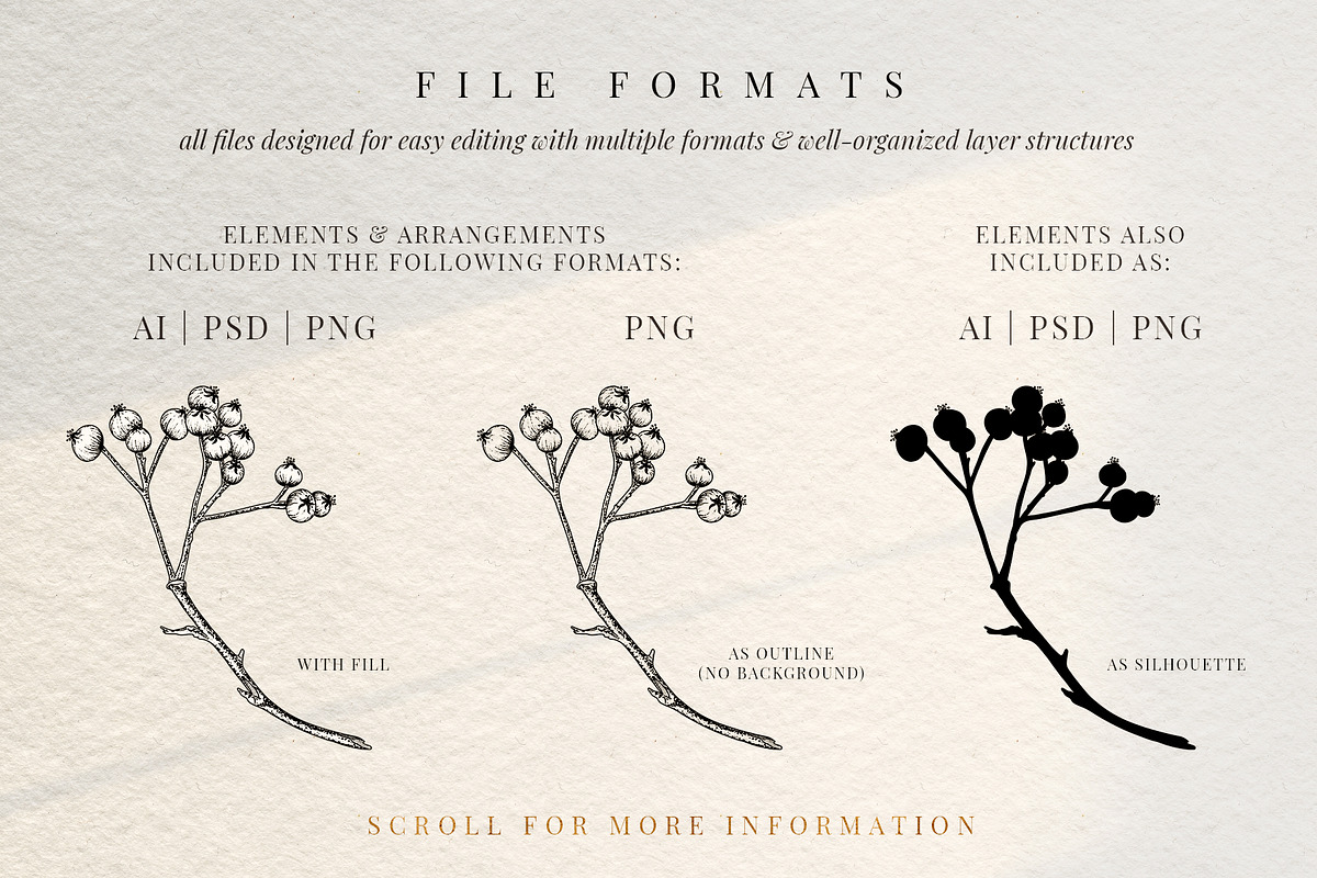 The Digital Florist Vintage Garden, an Illustration by Sophia J Caldwell (Photo 15 of 20)