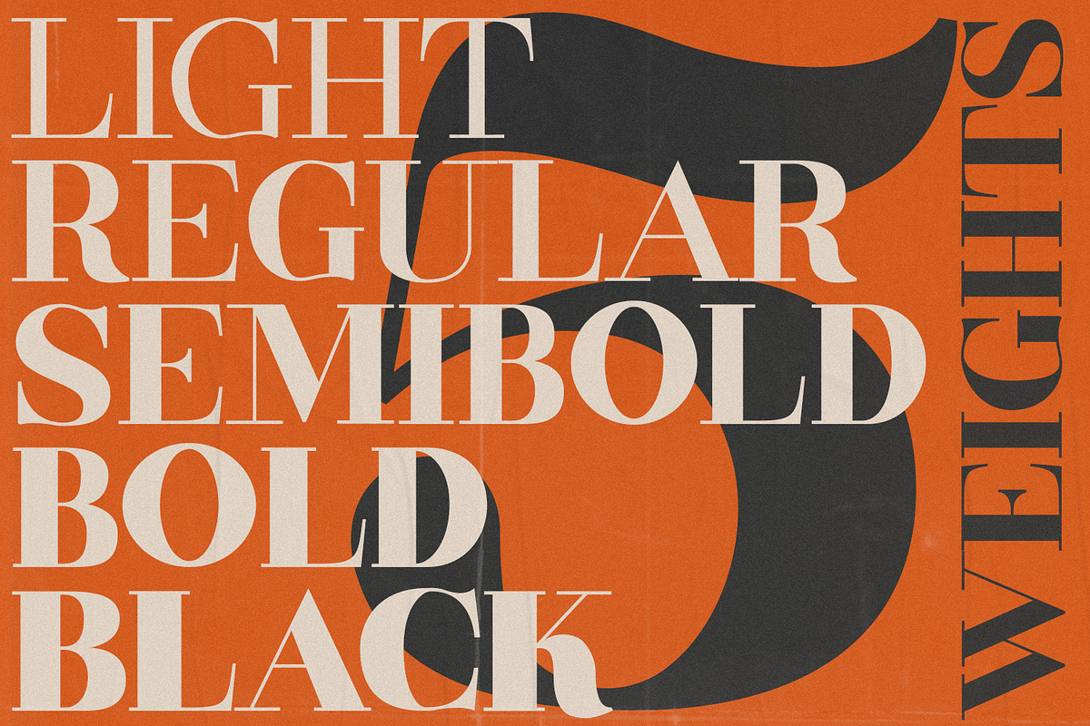 Rockdale, a Serif Font by FactoryType Studio (Photo 2 of 10)
