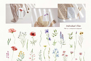Watercolor Wildflowers Botanical Set, a Decorative Illustration by BarvArt (Thumbnail 3 of 22)