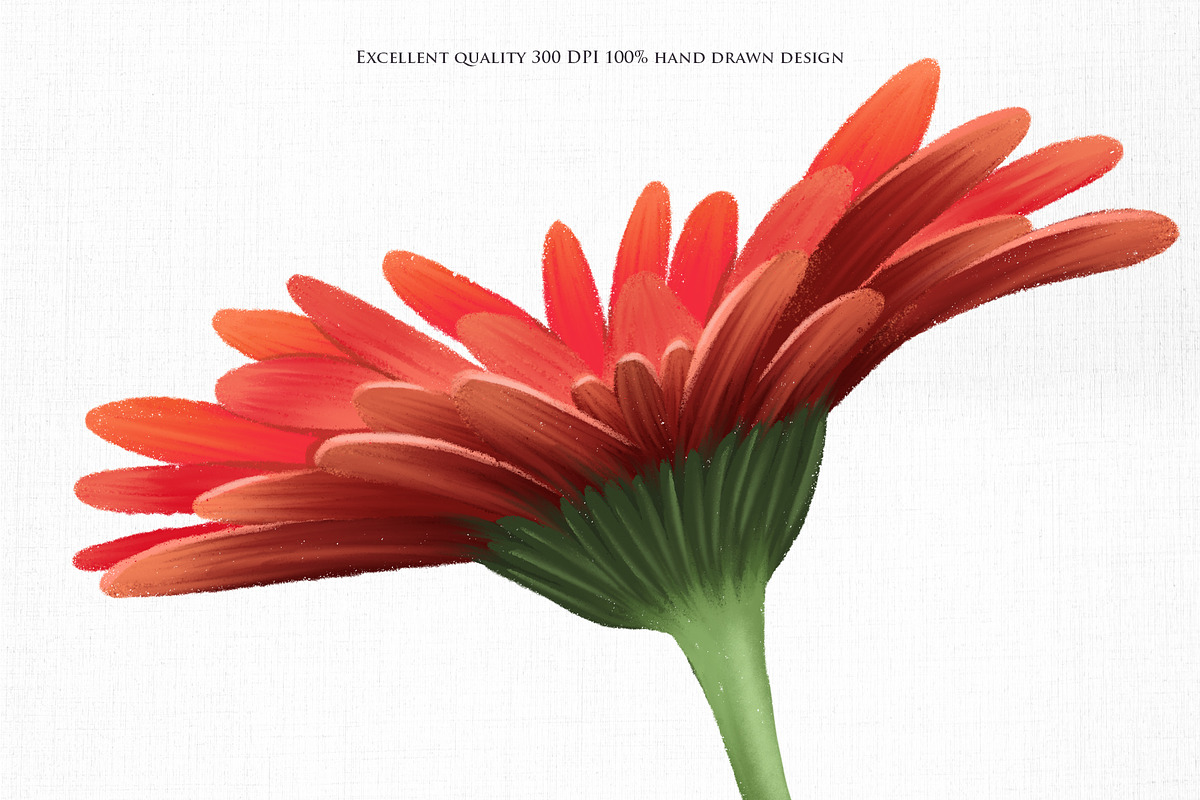 Warm flowers, an Illustration by Skliarova (Photo 12 of 12)