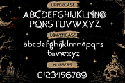 Nora Brindle Distressed Display Font, a Handwritten Font by mesuka (Thumbnail 5 of 7)