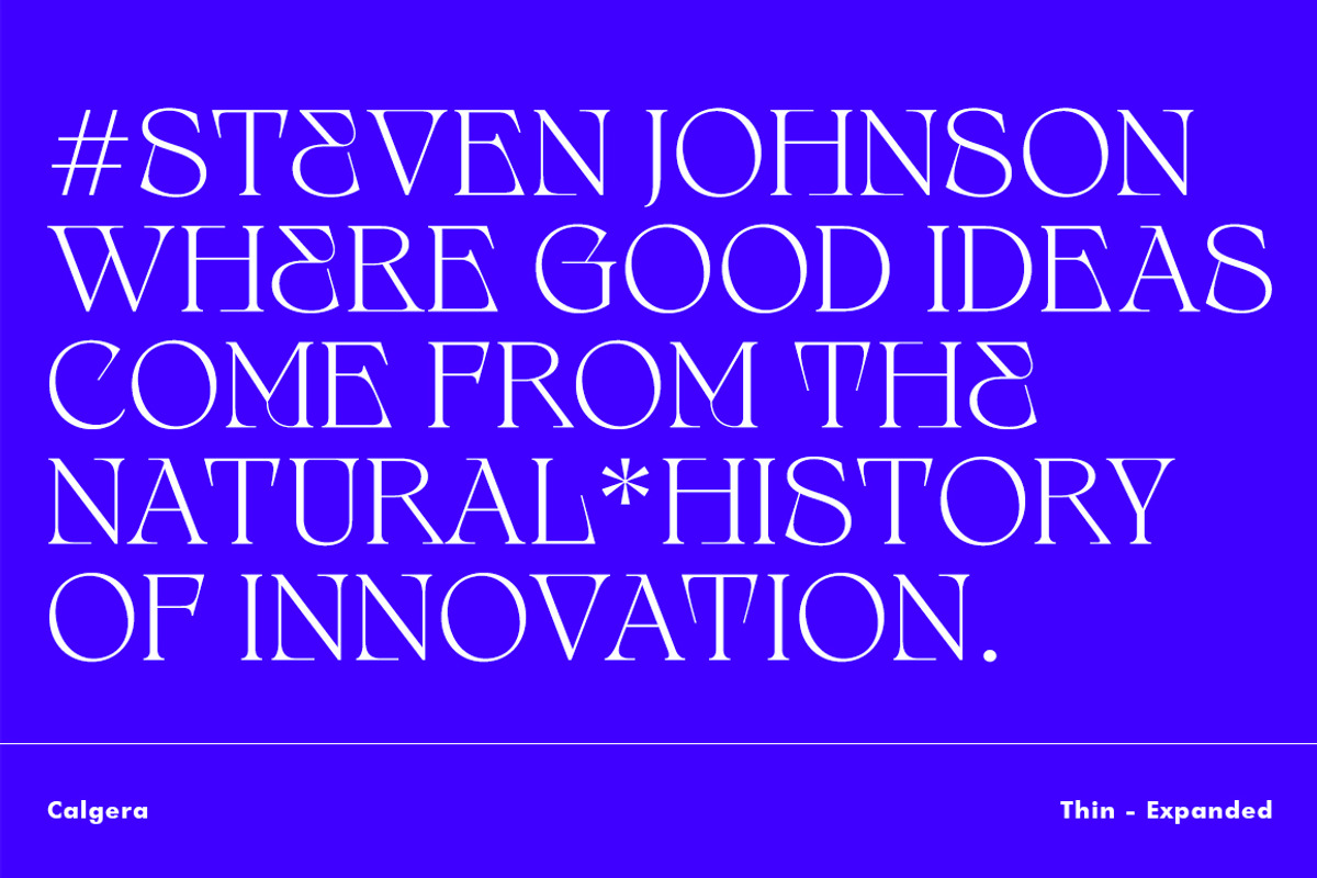 Calgera, a Serif Font by TRF Fonts (Photo 15 of 16)