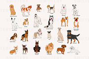 Dog Breeds Clipart - Swiitery, an Animal Illustration by Iconixar & Friends (Thumbnail 2 of 2)