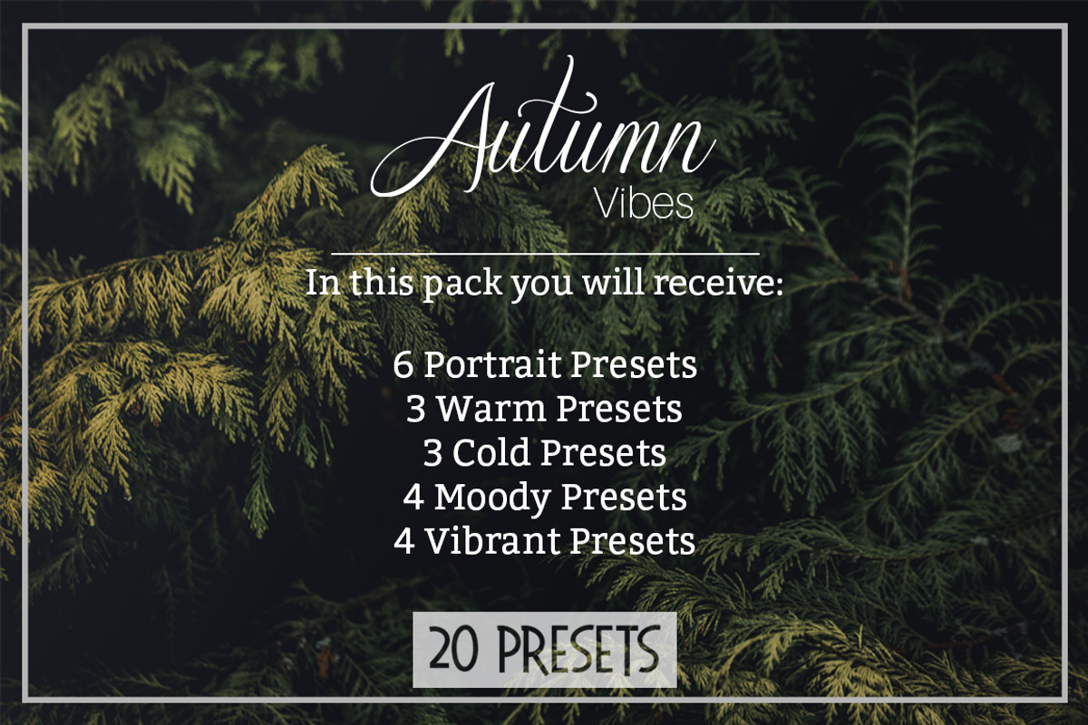 Autumn Vibes - Lightroom Presets preview 2