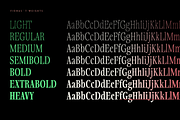 Fionas - 14 Fonts, a Serif Font by Nasir Udin (Thumbnail 7 of 17)