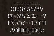 Mebiola – Elegant Cinematic Serif Fo, a Serif Font by Flawless And Co (Thumbnail 10 of 10)