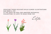 126 Tulip Varieties Flat Vectors, an Object Graphic by esylvia (Thumbnail 5 of 5)