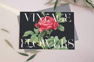 VINTAGE FLOWERS Vol.2 Watercolor Png