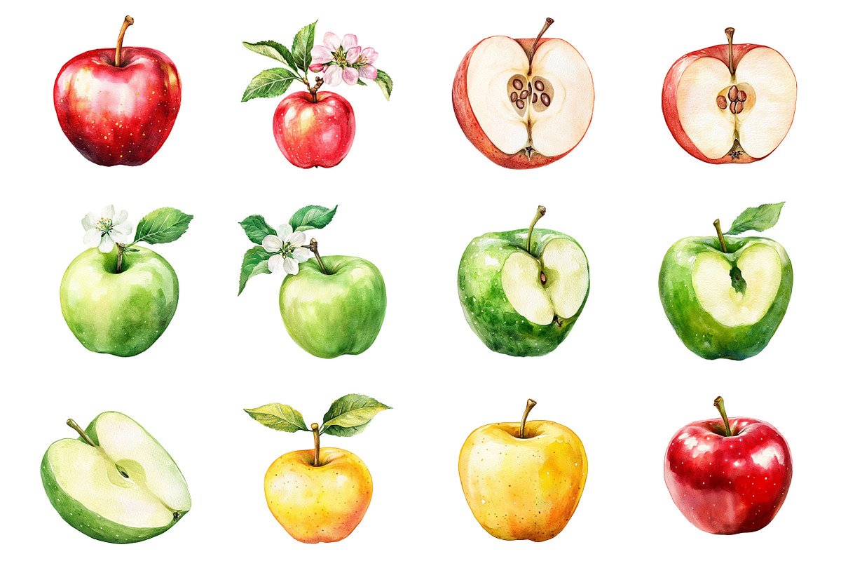 Watercolor Apple Clipart, an Illustration by Design Market (Photo 3 of 4)