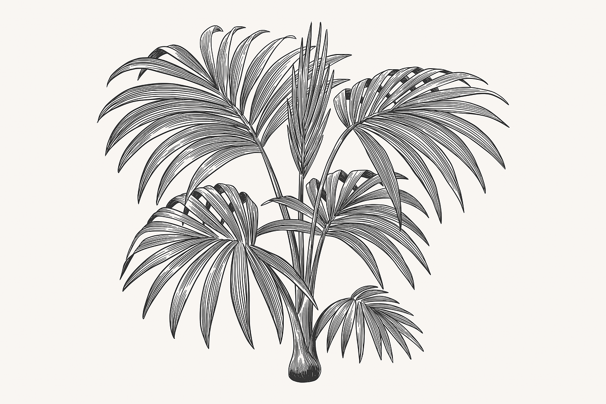 Palm Tree Vector Illustration Bundle, an Illustration by Kusumaillustration (Photo 9 of 15)