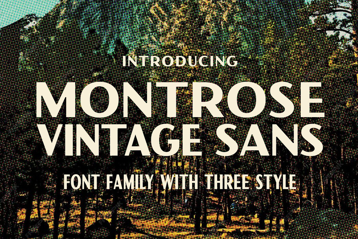 Montrose - Vintage Sans, a Sans Serif Font by Viswell (Photo 10 of 10)
