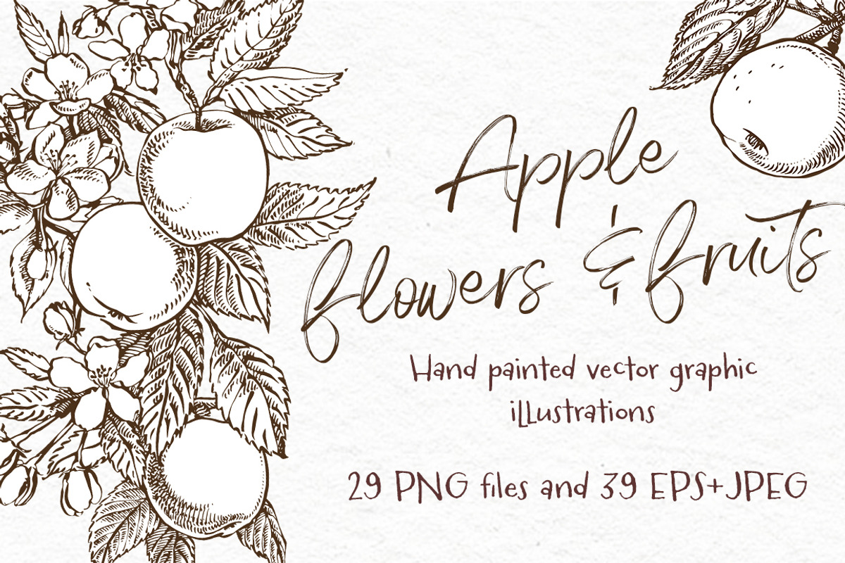 Apple Graphic & Watercolor clipart, a Healthcare Illustration by Ann Astro (Photo 3 of 5)