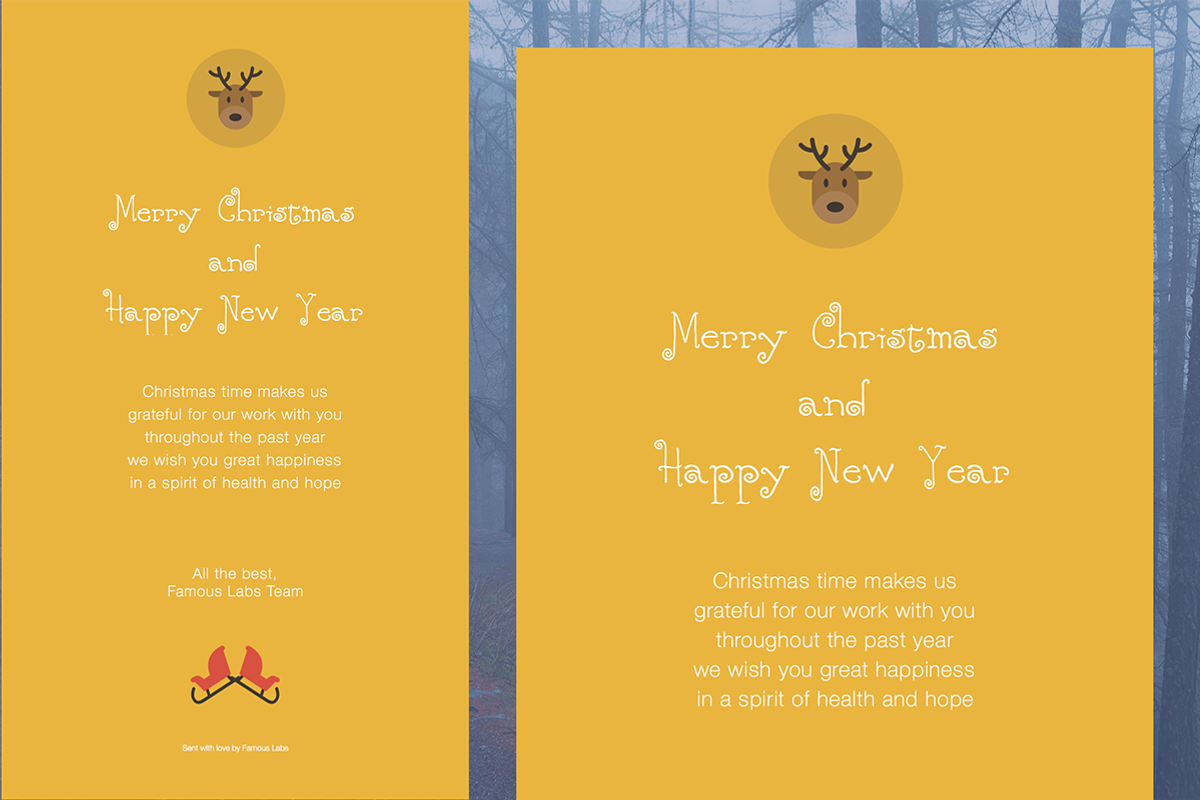 Christmas Email/eCard (HTML+DESIGNS), an Email Template by Hype UI (Photo 4 of 5)