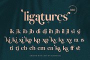 Vicky Christina Ligature Serif Font, a Serif Font by SilverStag Type Foundry (Thumbnail 19 of 25)