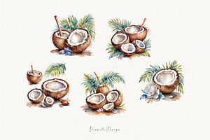 Tropical Coconut