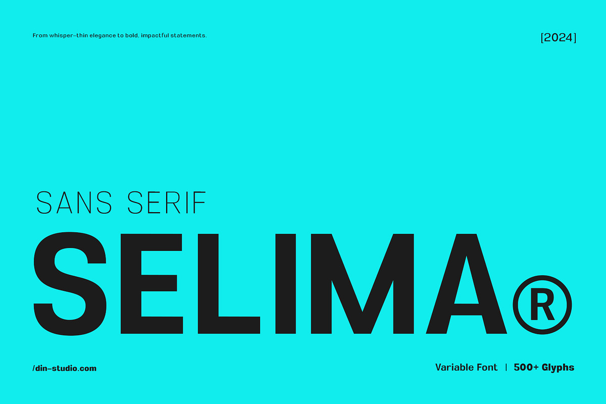 Selima, a Sans Serif Font by din-studio.com (Photo 1 of 14)