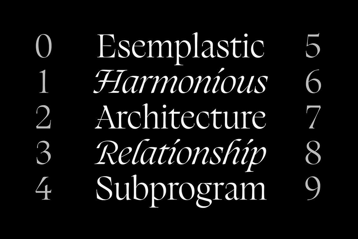 Silene - Elegant Serif Typeface, a Serif Font by Piotr Łapa (Photo 10 of 12)