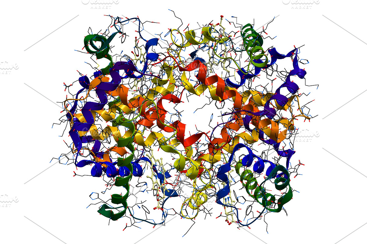 Hemoglobin molecule isolated on a, a Healthcare Illustration by Leonid Andronov