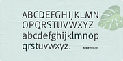 Ankle, a Sans Serif Font by Vikers (Thumbnail 6 of 11)