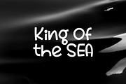 Big Whale Font, a Sans Serif Font by YandiDesigns (Thumbnail 4 of 4)