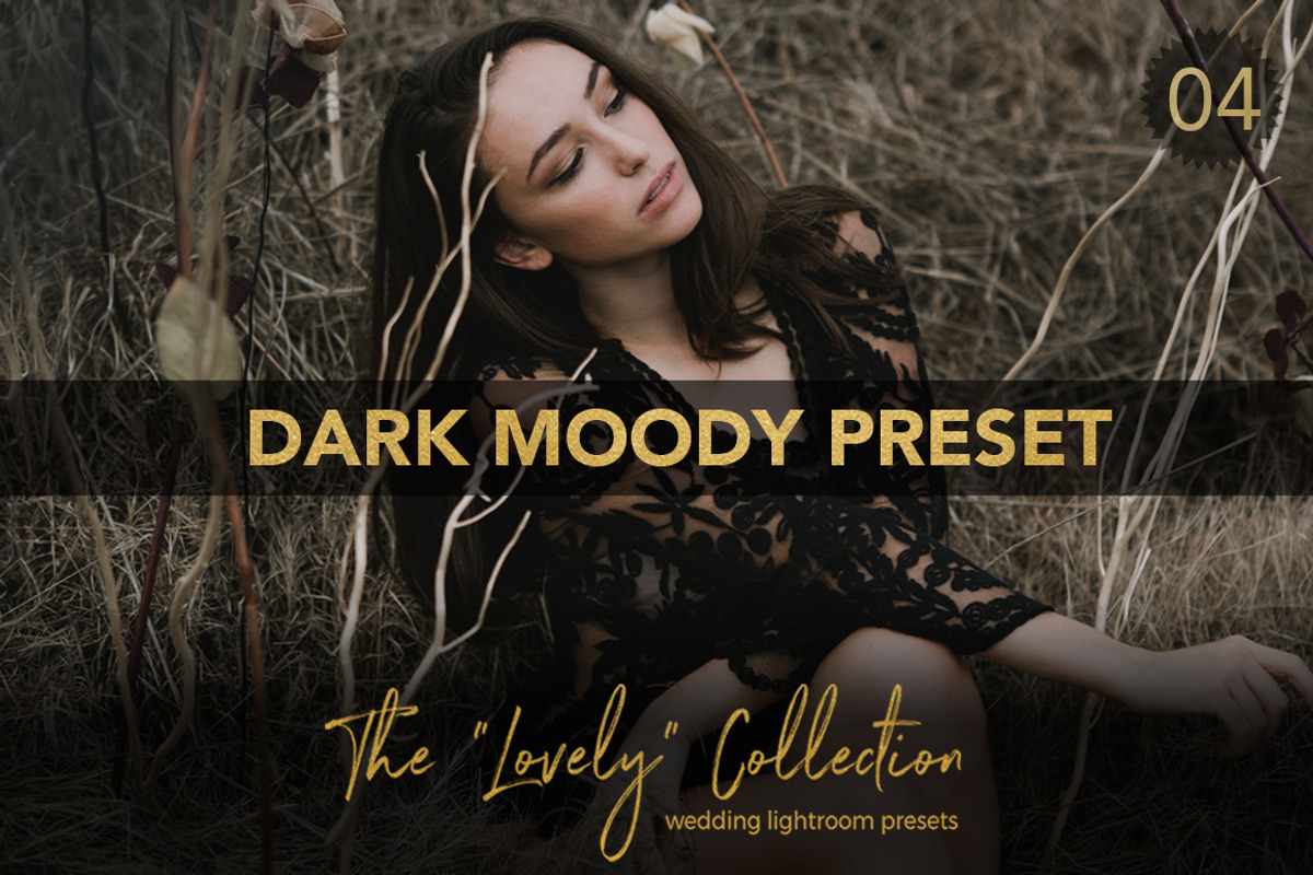 Dark Moody ACR + Lightroom Preset, an Action Add-On by Shae Estella Photo (Photo 1 of 6)