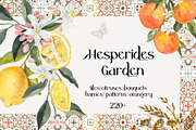 BUNDLE 95 in 1 - 11000 Watercolor, a Decorative Illustration by Catch the Dream Art (Thumbnail 41 of 96)