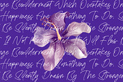 Bestnight Tropicals Ballpoint Script, a Script Font by stylishtype.co (Thumbnail 11 of 20)