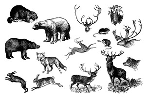 Animals Vector Vintage Illustrotions