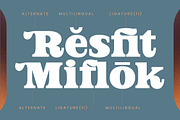 Jofjin Vikar Modern Serif Display, a Serif Font by timelesstype.co (Thumbnail 15 of 20)