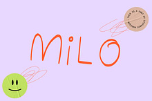 MILO | Handwritten Font