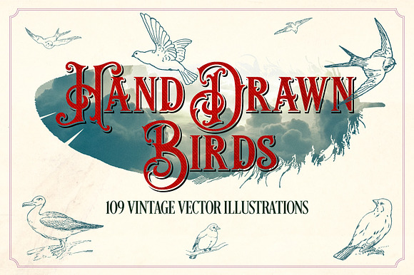 Vintage Hand Drawn Birds preview 7